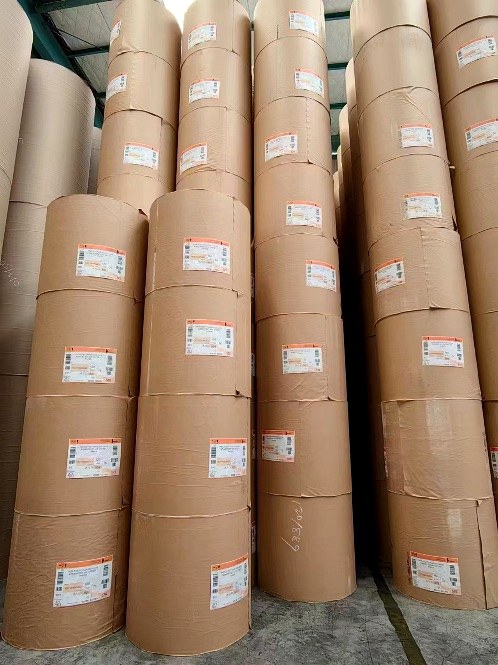 Taiga Digital Printing Paper (High-Speed Inkjet Web Press, In Stock, Customizable)